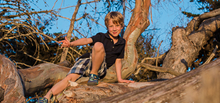 Little boy smiling on a tree branch